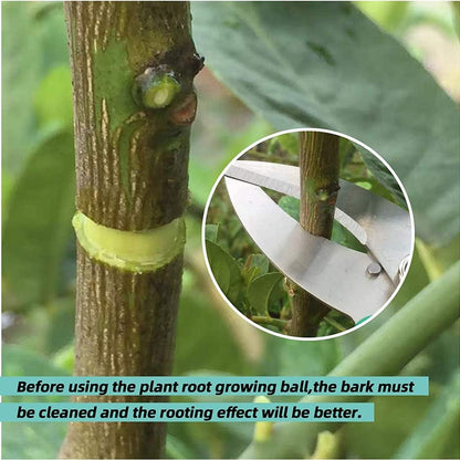 Magic Plant Root Pods [Transparent 8Pcs]