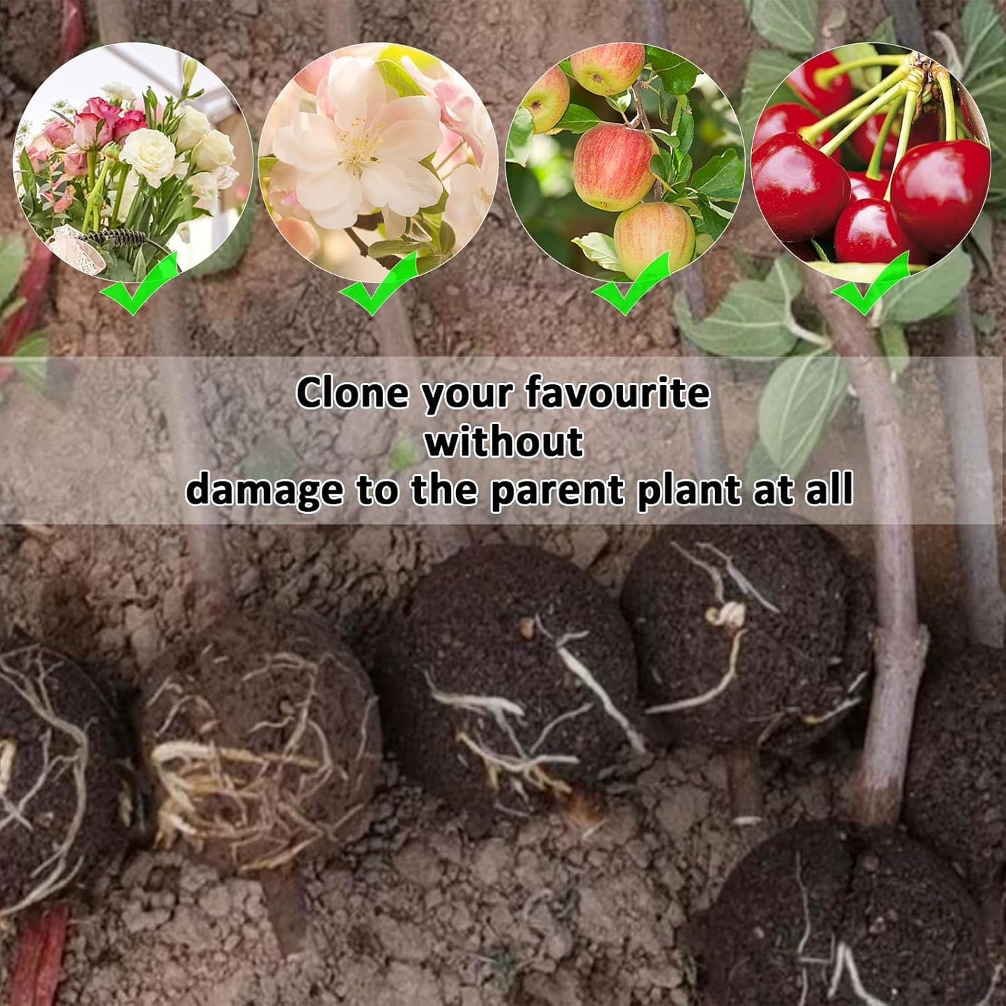 Magic Plant Root Pods [Transparent 8Pcs]