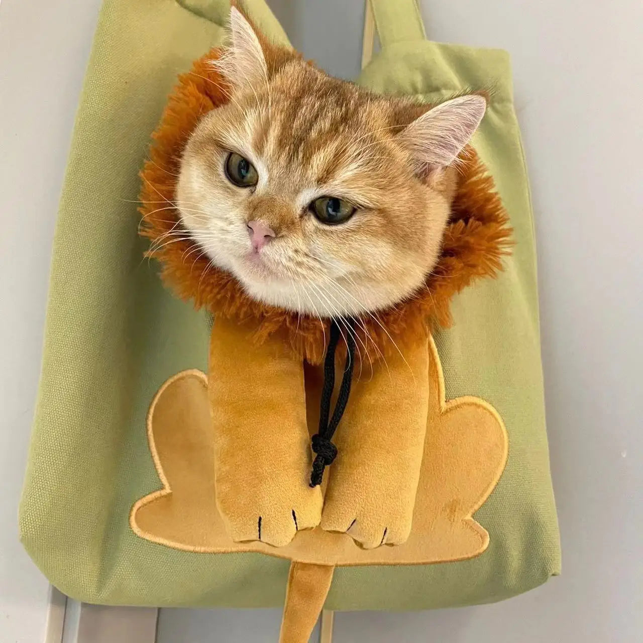 Lion Paws Pet Tote